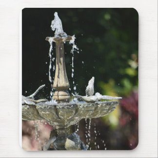 Hollis Gardenの水噴水からのスプラッシング マウスパッド