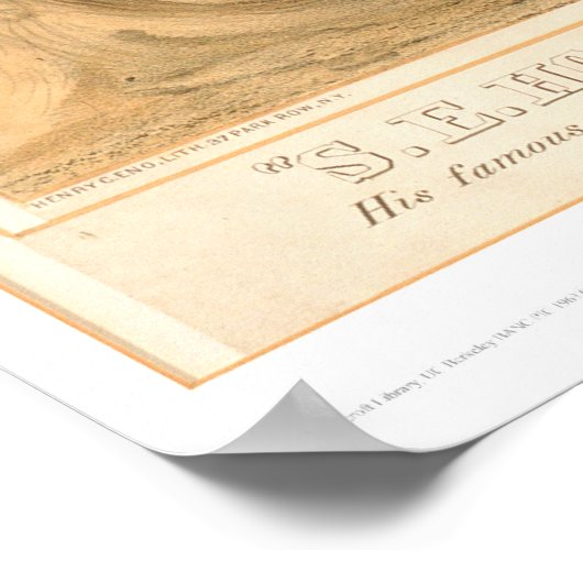 HollisterのBear Encounter (0547A) ポスター (角)