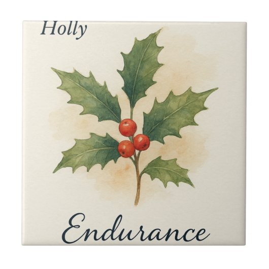 Holly — Endurance タイル (正面)
