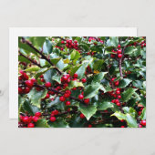 Holly leaves and Berries シーズンカード (正面/裏面)
