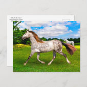 「Holly On The Move」ポストカード ポストカード (正面/裏面)