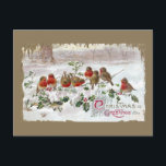 Holly Vintage Christmasの英語ロビンズ8つ シーズンポストカード<br><div class="desc">1912年のヴィンテージのクリスマスハガキに、雪の中のホリーの枝に8個のイギリスのロビンが並ぶ。</div>