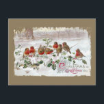 Holly Vintage Christmasの英語ロビンズ8つ シーズンポストカード<br><div class="desc">1912年のヴィンテージのクリスマスハガキに、雪の中のホリーの枝に8個のイギリスのロビンが並ぶ。</div>
