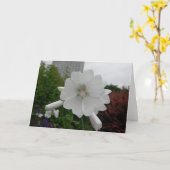 Hollyhockの挨拶状 カード (黄色い花)