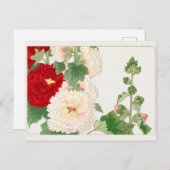 Hollyhock by谷上湖南 ポストカード (正面/裏面)