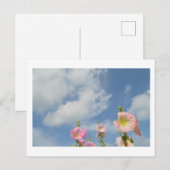 Hollyhocks：日本 ポストカード (正面/裏面)
