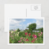 Hollyhocks: Arakawa River, Tokyo ポストカード (正面/裏面)