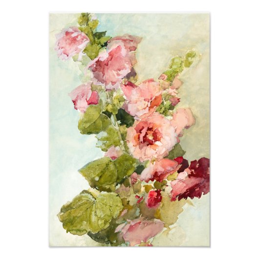 Hollyhocks by Franz Bischoff フォトプリント (正面)