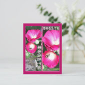 HOLLYSブックマーク ポストカード (スタンド正面)