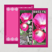 HOLLYSブックマーク ポストカード (正面/裏面)