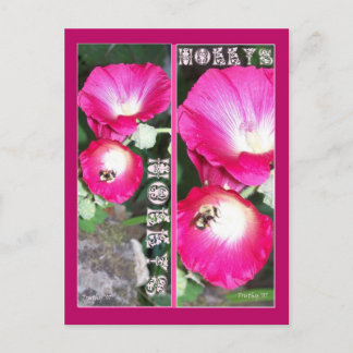 HOLLYSブックマーク ポストカード