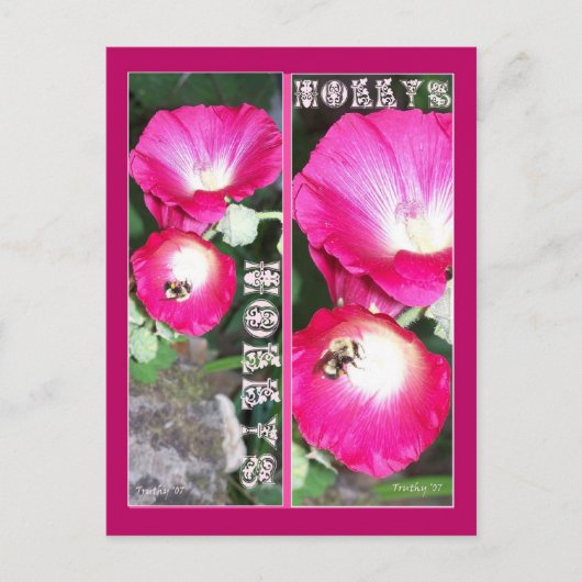 HOLLYSブックマーク ポストカード (正面)