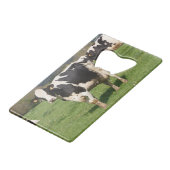 Holstein cows in a field in Brittany クレジットカード栓抜き (正面アングル)
