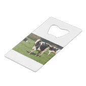 Holstein cows in a field in Brittany クレジットカード栓抜き (裏面アングル)