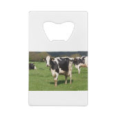 Holstein cows in a field in Brittany クレジットカード栓抜き (裏面)