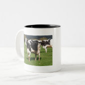 Holstein cows in a field in Brittany ツートーンマグカップ (正面左)