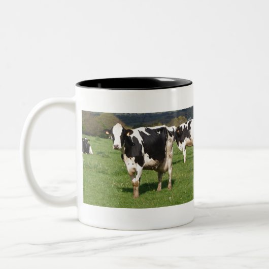 Holstein cows in a field in Brittany ツートーンマグカップ (左)