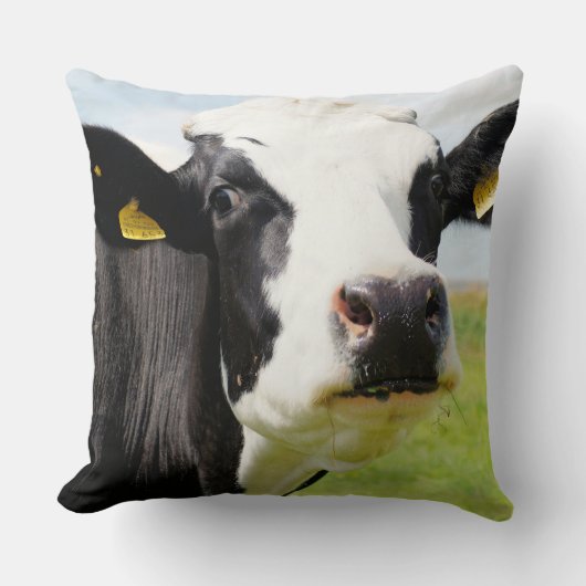 HOLSTEiN FRESiAN CoW クッション (正面)