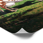 Holstein, Jersey, Ayrshire & Shorthorn cows ポスター (角)