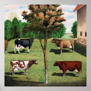 Holstein, Jersey, Ayrshire & Shorthorn cows ポスター
