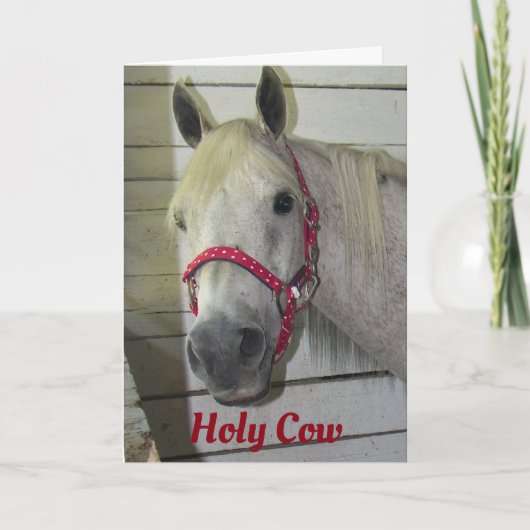 *HOLY COW*どのようにすればよいですか?*誕生日の補足* カード (正面)