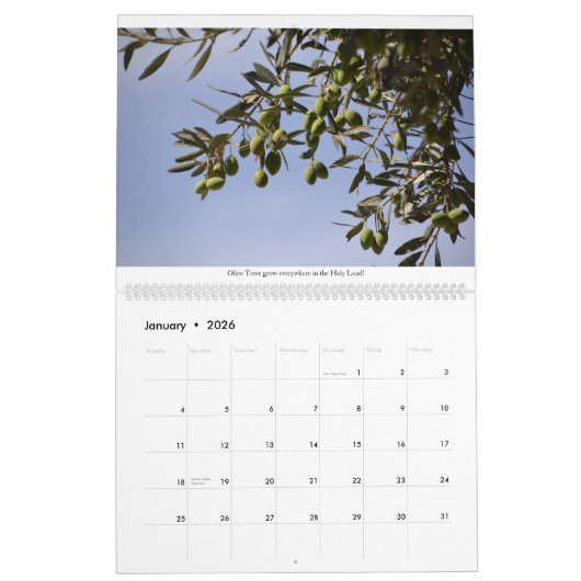 Holy Land 2026 Wall Calendar カレンダー (1月 2026)