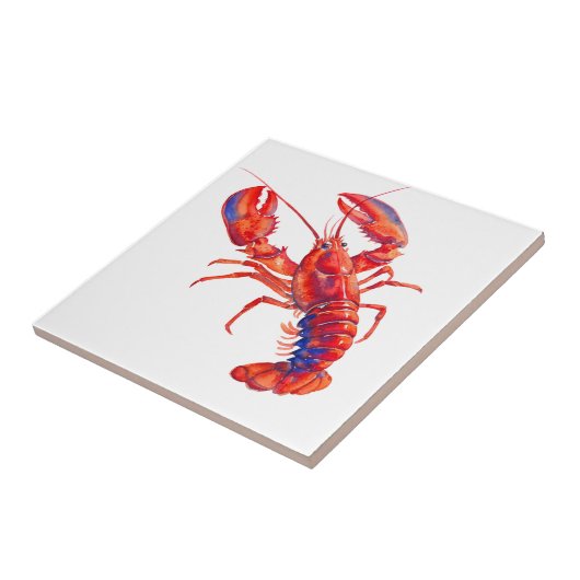 Homard タイル (側面)