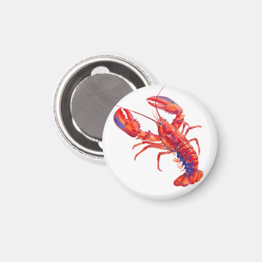 Homard マグネット (正面/裏面)