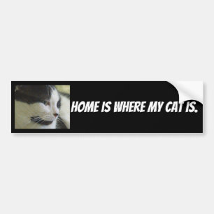 Homeは私の猫が写っている場所 バンパーステッカー