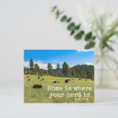 HomeはHad Is-South Dakotaのポストカード ポストカード (スタンド正面)