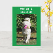 **HOME**カードおめでとう カード (黄色い花)