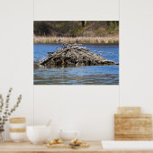 Home ポスター (キッチン)