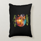 HOME DECOR LIFE'S JOURNEY CHEER UP ACCENT PILLOW アクセントクッション (正面(垂直))