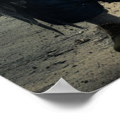 Homeless Trump Poster ポスター (角)