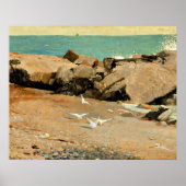 Homer - Rocky Coast and Gulls, fine art ポスター (正面)