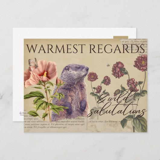 Homest Regardsウッドチャックヴィンテージスタイルポストカード ポストカード (正面/裏面)