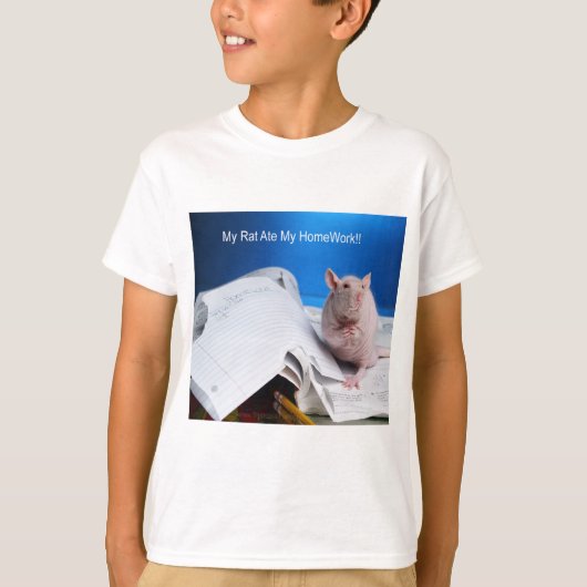 Homework t tシャツ (正面)