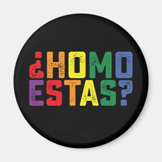 Homo Estas スペイン メキシコ 風刺的 ゲイ プライド LGBTQ マグネット (正面)