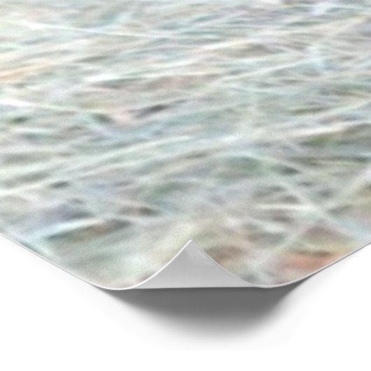 Honey Bear (Sun Bear)写真 ポスター (角)