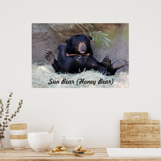 Honey Bear (Sun Bear)写真 ポスター (キッチン)