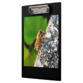 Honey Beeクリップボード クリップボード (左)