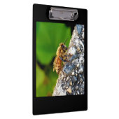 Honey Beeクリップボード クリップボード (右)