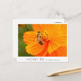 Honey Bee & Golden Cosmos ポストカード