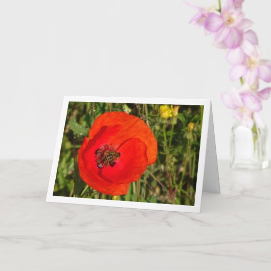 Honey Bee in Red Poppy Card カード (蘭)