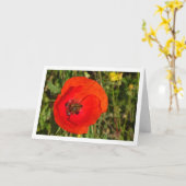 Honey Bee in Red Poppy Card カード (黄色い花)