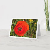Honey Bee in Red Poppy Card カード (正面)