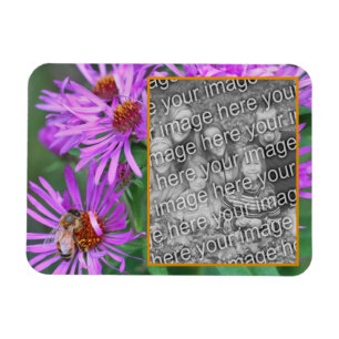 Honey Bee On Pink Aster Flower写真を追加 マグネット