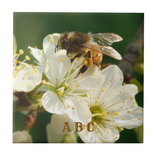 Honey Bee on Plum Blossom Ceramic Tile タイル (正面)