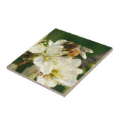 Honey Bee on Plum Blossom Ceramic Tile タイル (側面)