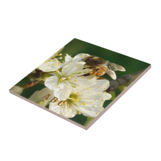Honey Bee on Plum Blossom Ceramic Tile タイル (側面)